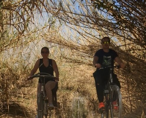 En bicicleta por el Rio Turia