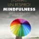 Libro mindfulness mario alonso puig